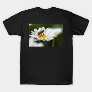 I regret I am not a bee... T-Shirt